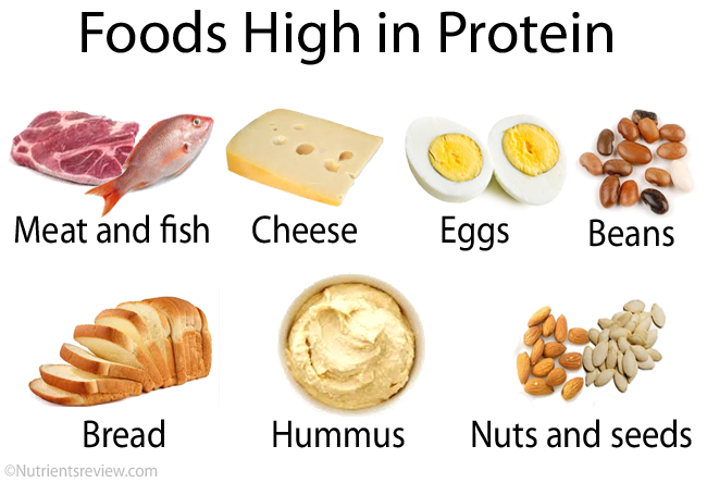 What Are Examples Of A High Protein Breakfast